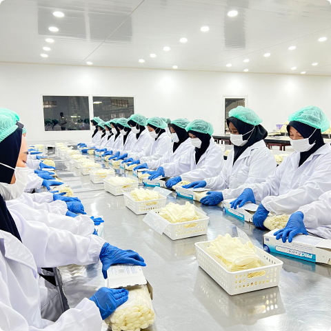 Property 1=Powdered, Property 2=3